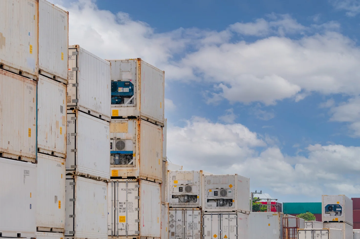 20ft refrigerated container for sale