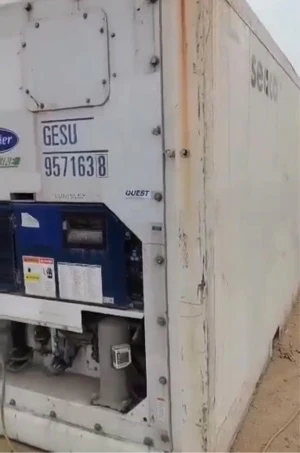 20ft refrigerated container for sale
